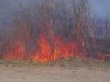 Подготовку к пожароопасному сезону обсудили на областном уровне
